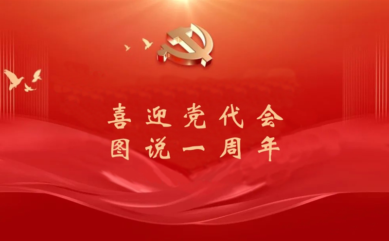 喜迎党代会 图说一周年（六）