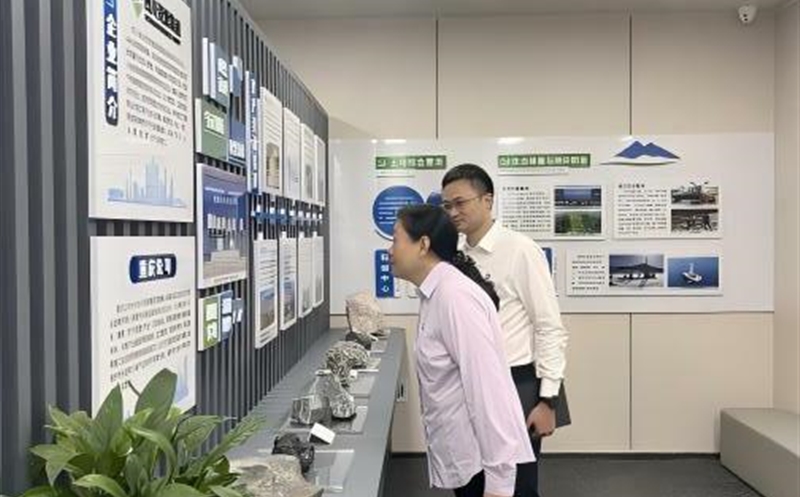 集团向导赴重庆公司调研座谈，，，，强调以党建引领高质量生长