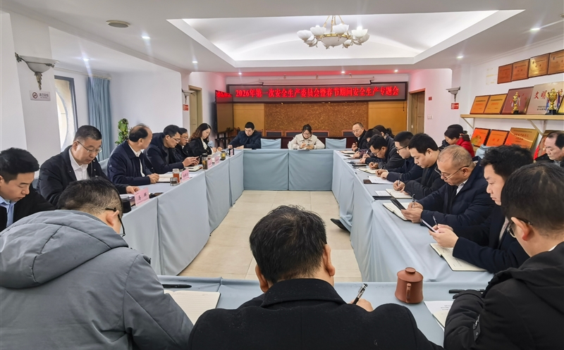 严守清静防线，，，，，，平安喜迎新年——测绘公司召开2026年第一次安委会暨春节时代清静生产专题会