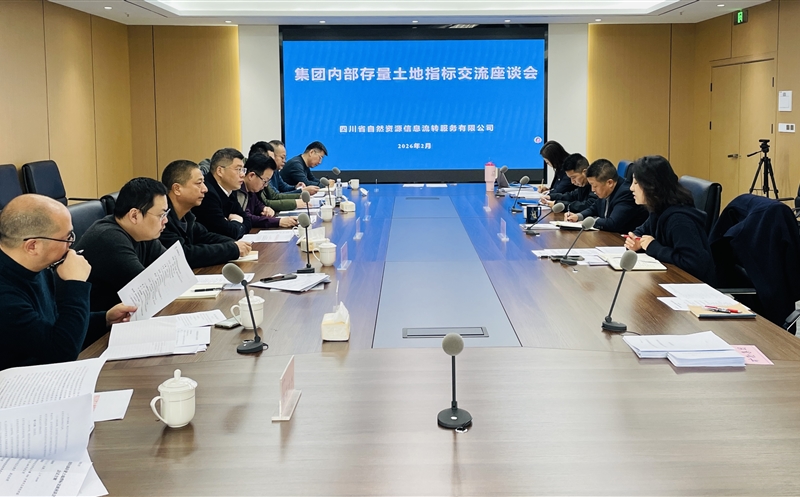锚定战略协同，，，激活存量价值——流转服务公司召开集团内部存量土地指标交流座谈会