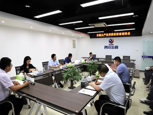 中共四川省冶勘物流有限公司支部委员会 召开周全从严治党催促检查现场会_协同多元工业_工业生长_凯时凯时首页有限责任公司