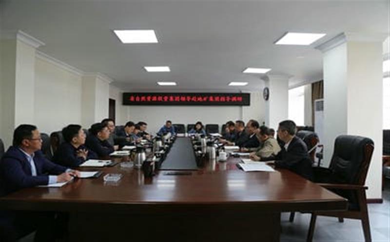 省自然凯时凯时首页投资集团副总司理武文祥带队赴地矿集团调研指导事情