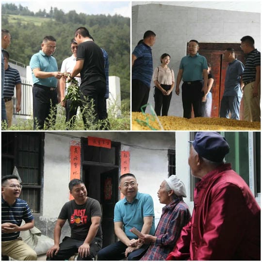 凯时K66官网 - 凯时优质运营商首页