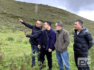 聚焦集团主业 服务凯时凯时首页流通（一）深入甘洛县开展玄武岩项目现场踏勘_协同多元工业_工业生长_凯时凯时首页有限责任公司