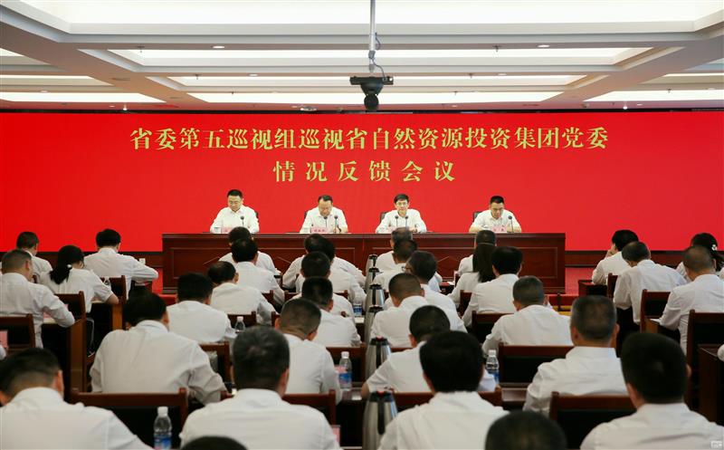 中共四川省委第五巡视组向省自然凯时凯时首页投资集团党委反馈巡视情形