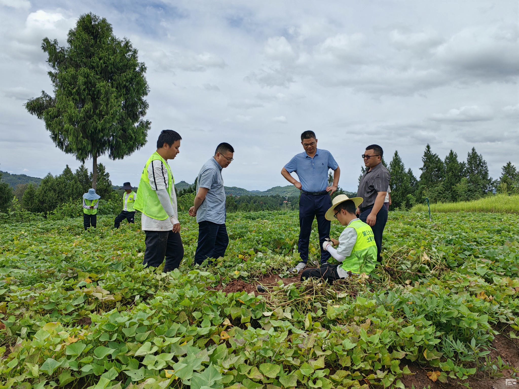 凯时K66官网 - 凯时优质运营商首页
