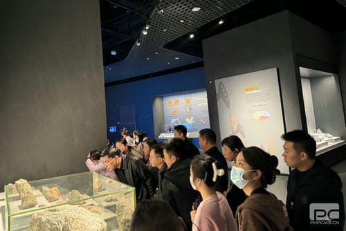 “驻足主责主业，，，，，，凯时凯时首页赋能未来” ——地矿集团机关第二党支部、地调所党支部开展联学联建主题党日活动_红色堡垒_党建群团_凯时凯时首页有限责任公司
