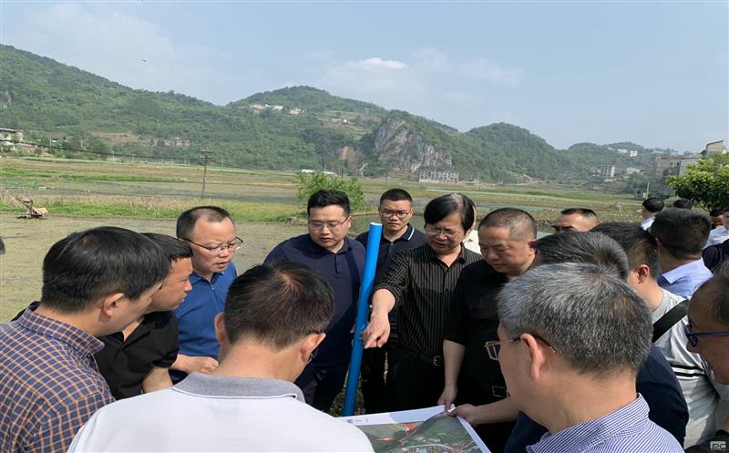 古蔺县委主要向导赴大村煤炭项目实地专题调研矿产凯时凯时首页发动型小城镇妄想建设