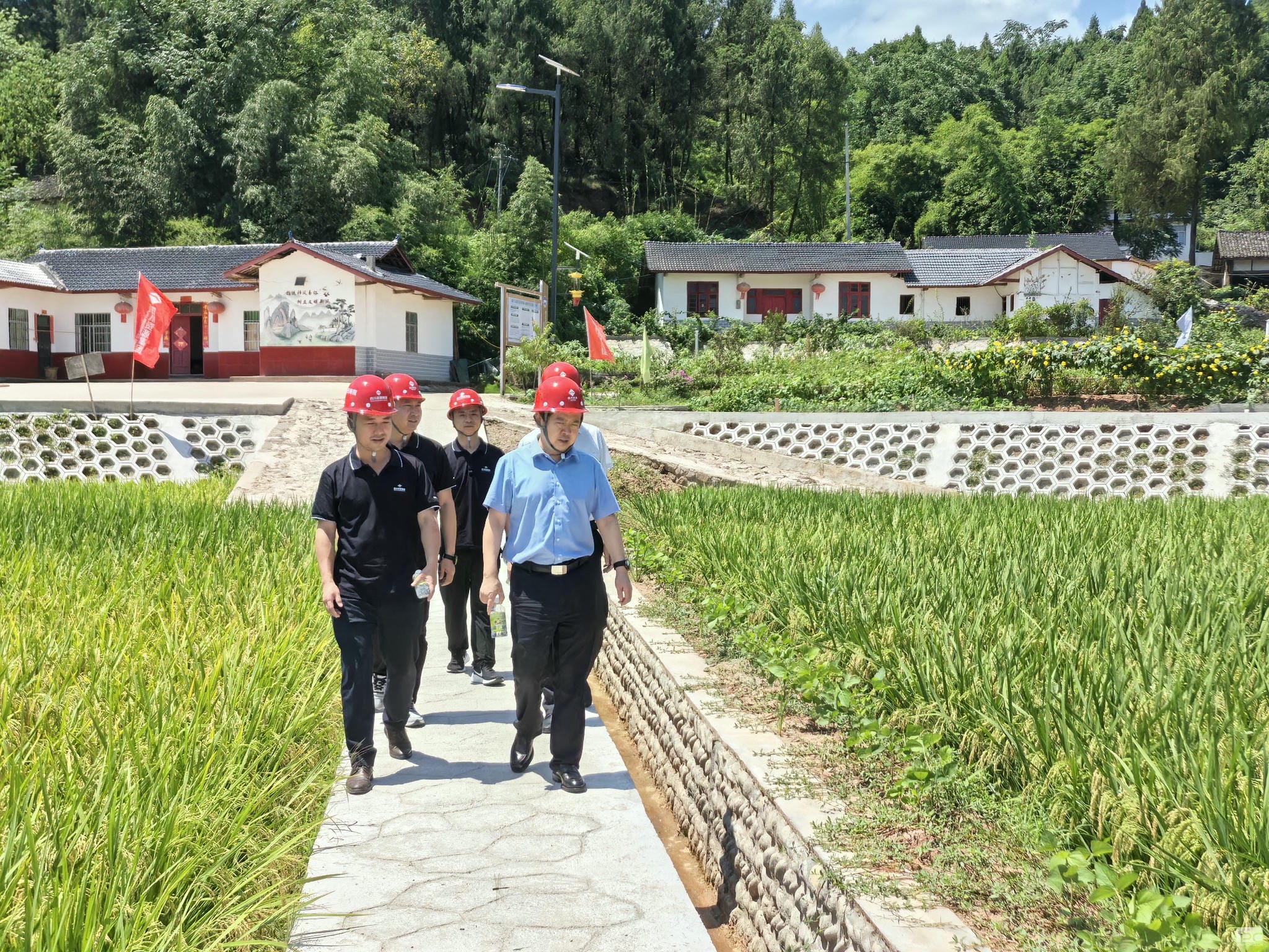 凯时K66官网 - 凯时优质运营商首页