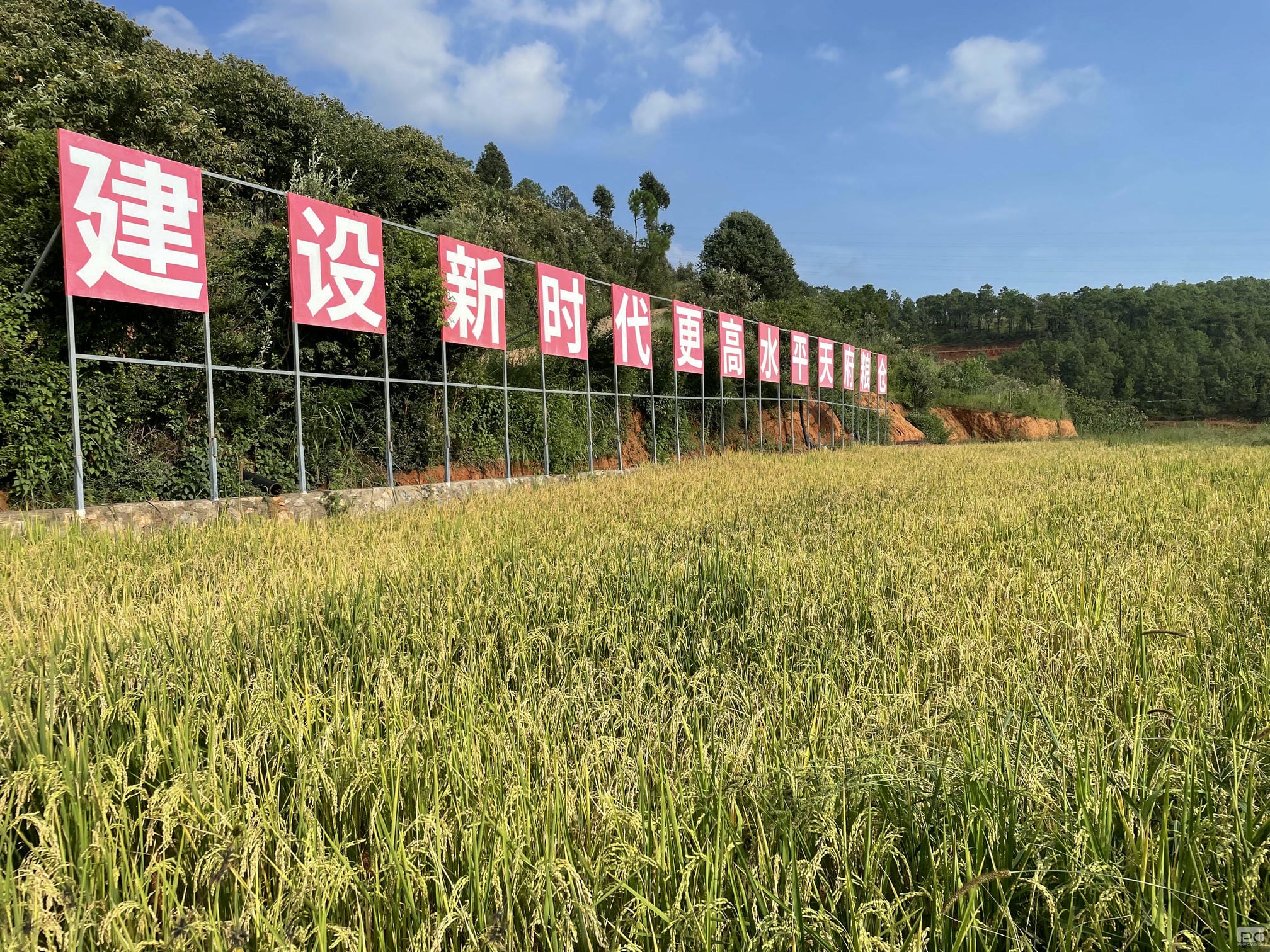 凯时K66官网 - 凯时优质运营商首页